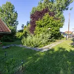 Kismokus * Eger